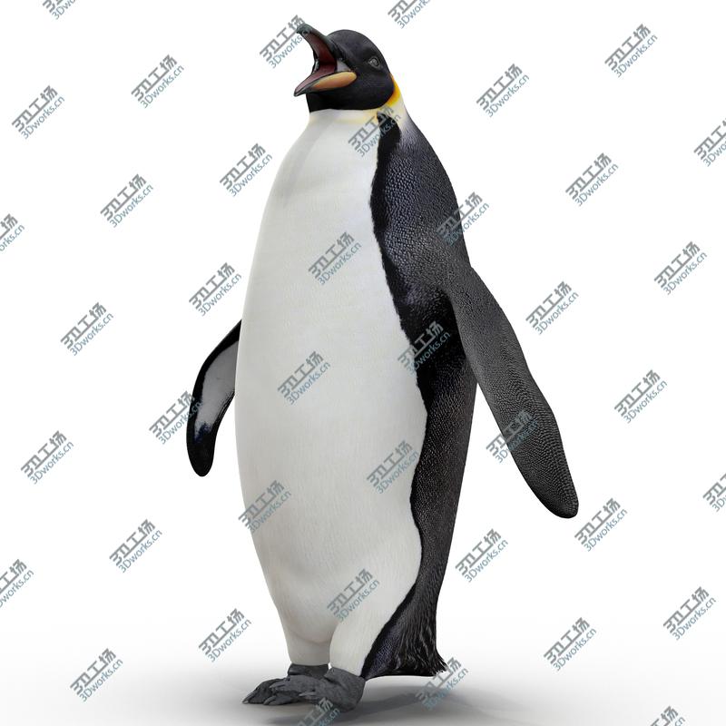 images/goods_img/20210319/Emperor Penguin Rigged for Cinema 4D/5.jpg